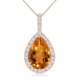 15x10mm AAA Claw-Set Citrine Teardrop Halo Pendant in Rose Gold