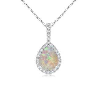 8x6mm AAAA Opal Teardrop Pendant with Diamond Halo in White Gold