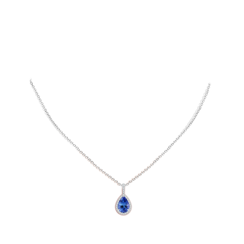 10x7mm AA Tanzanite Teardrop Pendant with Diamond Halo in P950 Platinum body-neck