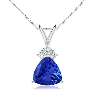 Trillion AAA Tanzanite