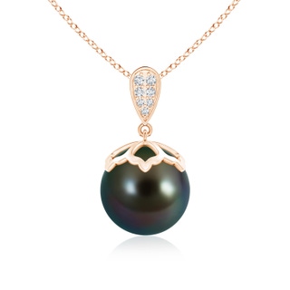 11mm AAAA Tahitian Pearl Pendant with Inverted Pear Bale in Rose Gold