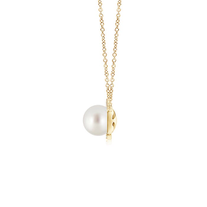 AAA - South Sea Cultured Pearl / 7.56 CT / 14 KT Yellow Gold