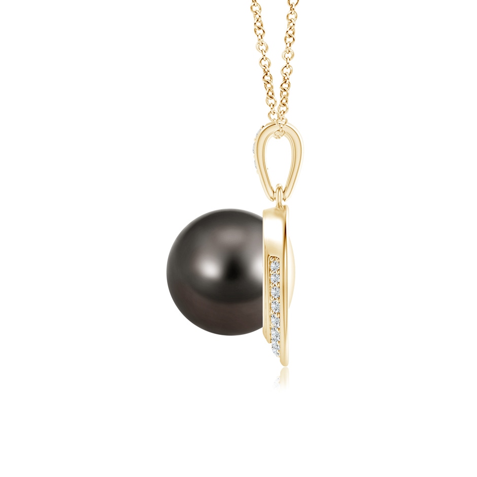 9mm AAA Tahitian Pearl Crescent Pendant in Yellow Gold product image