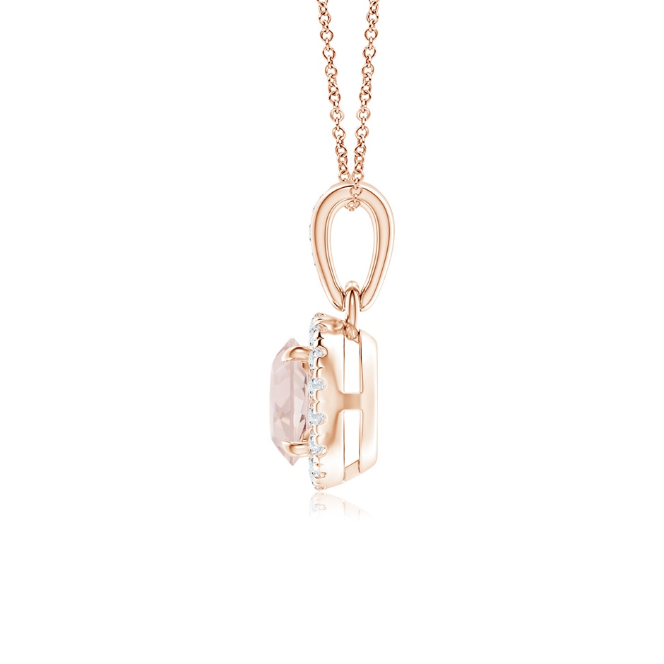 5mm A Claw-Set Round Morganite Pendant with Diamond Halo Pendant in Rose Gold side 199