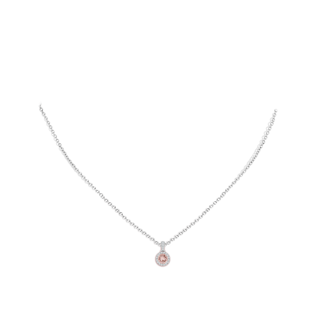5mm AAAA Claw-Set Round Morganite Pendant with Diamond Halo Pendant in White Gold Body-Neck