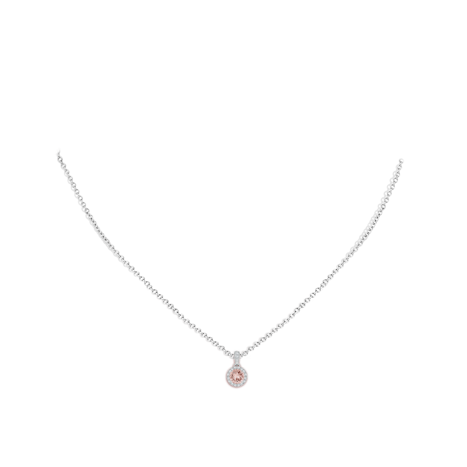 5mm AAAA Claw-Set Round Morganite Pendant with Diamond Halo Pendant in White Gold body-neck