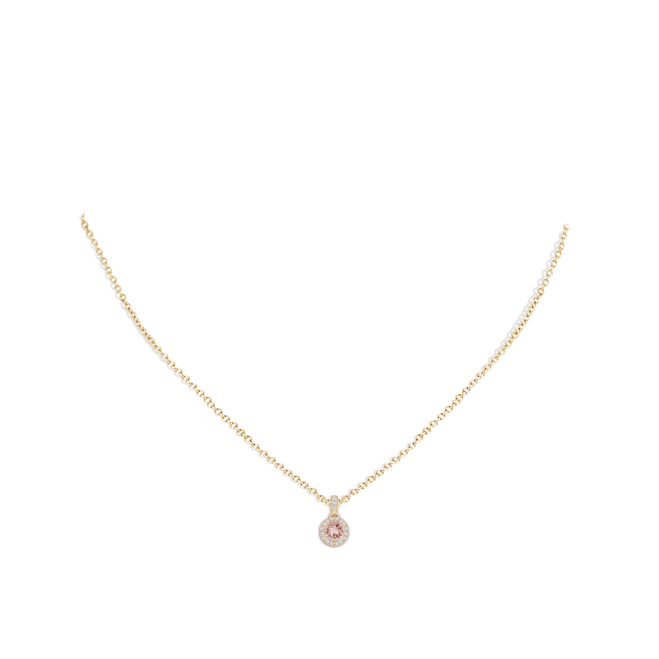 5mm AAAA Claw-Set Round Morganite Pendant with Diamond Halo Pendant in Yellow Gold body-neck