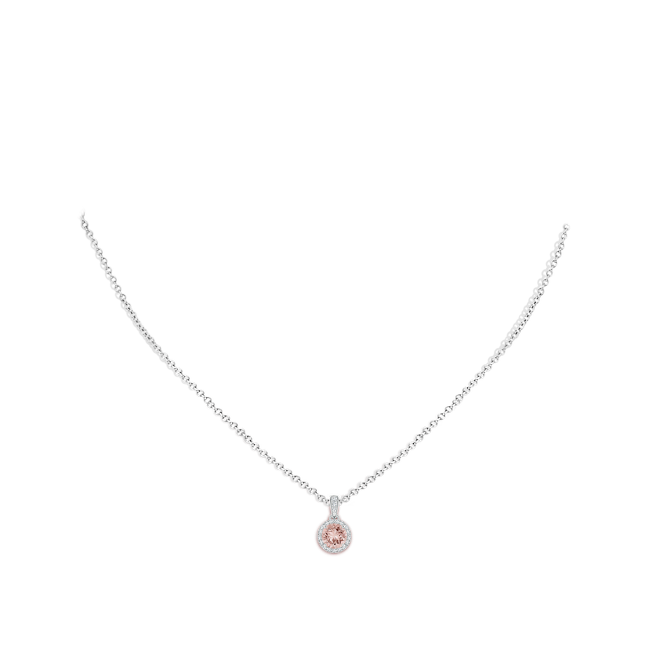 6mm AAAA Claw-Set Round Morganite Pendant with Diamond Halo Pendant in White Gold pen
