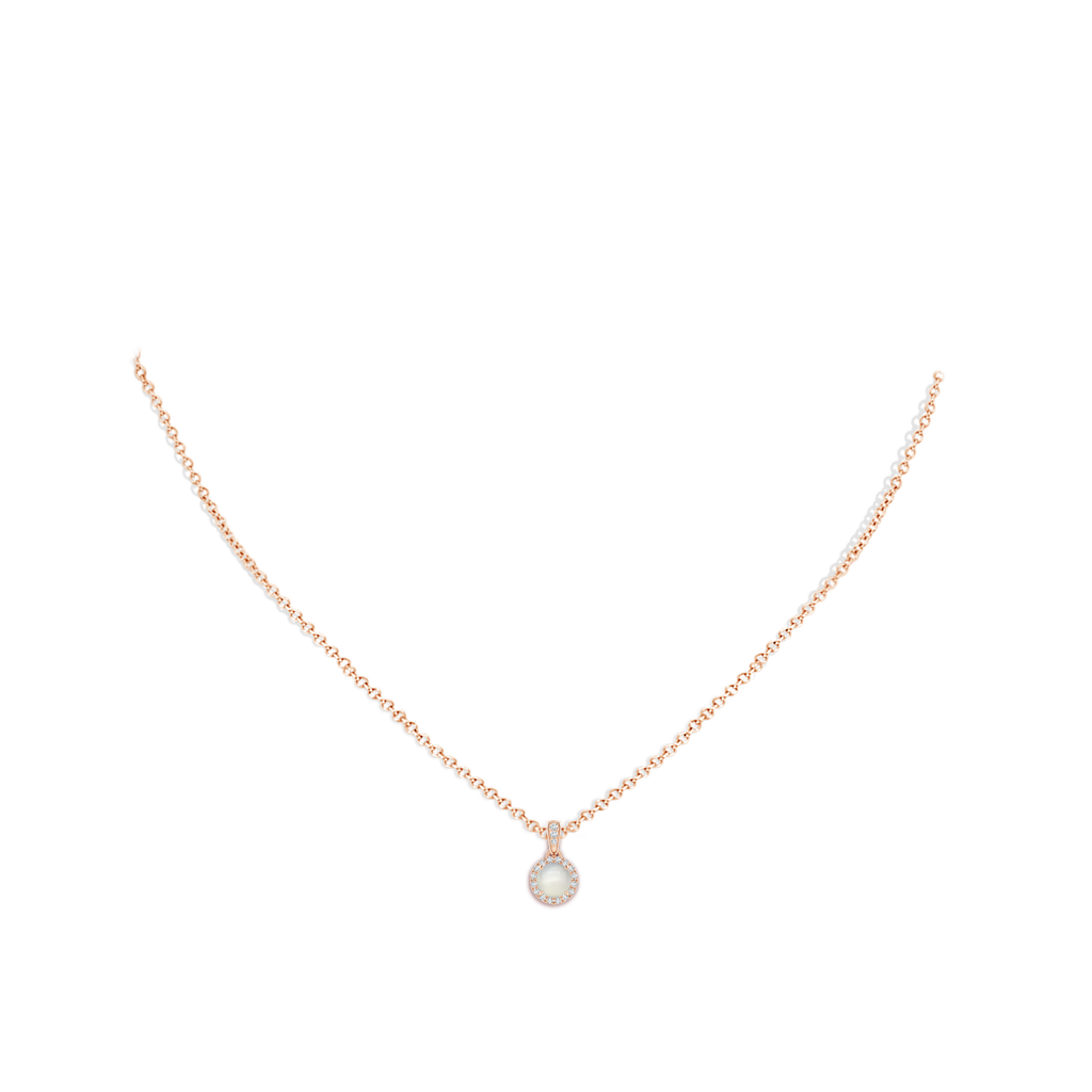 5mm AAA Claw-Set Round Moonstone Pendant with Diamond Halo in Rose Gold Body-Neck