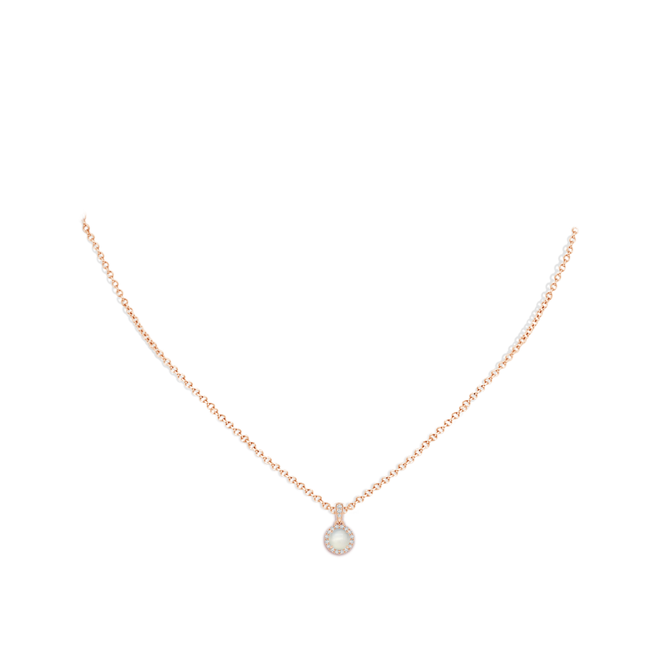 5mm AAA Claw-Set Round Moonstone Pendant with Diamond Halo in Rose Gold body-neck