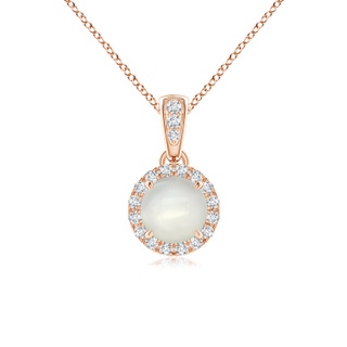 5mm AAAA Claw-Set Round Moonstone Pendant with Diamond Halo in Rose Gold