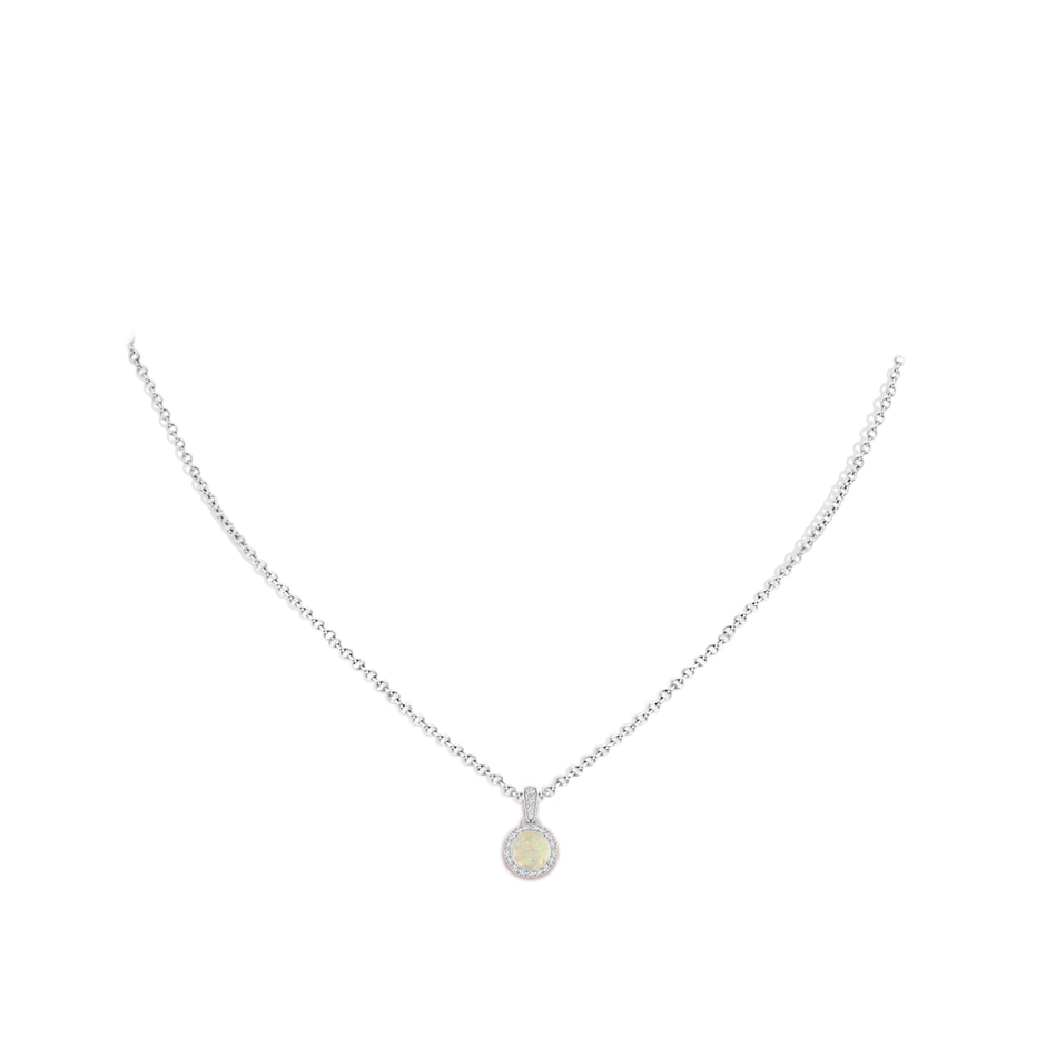 6mm AAA Claw-Set Round Opal Pendant with Diamond Halo in White Gold Body-Neck