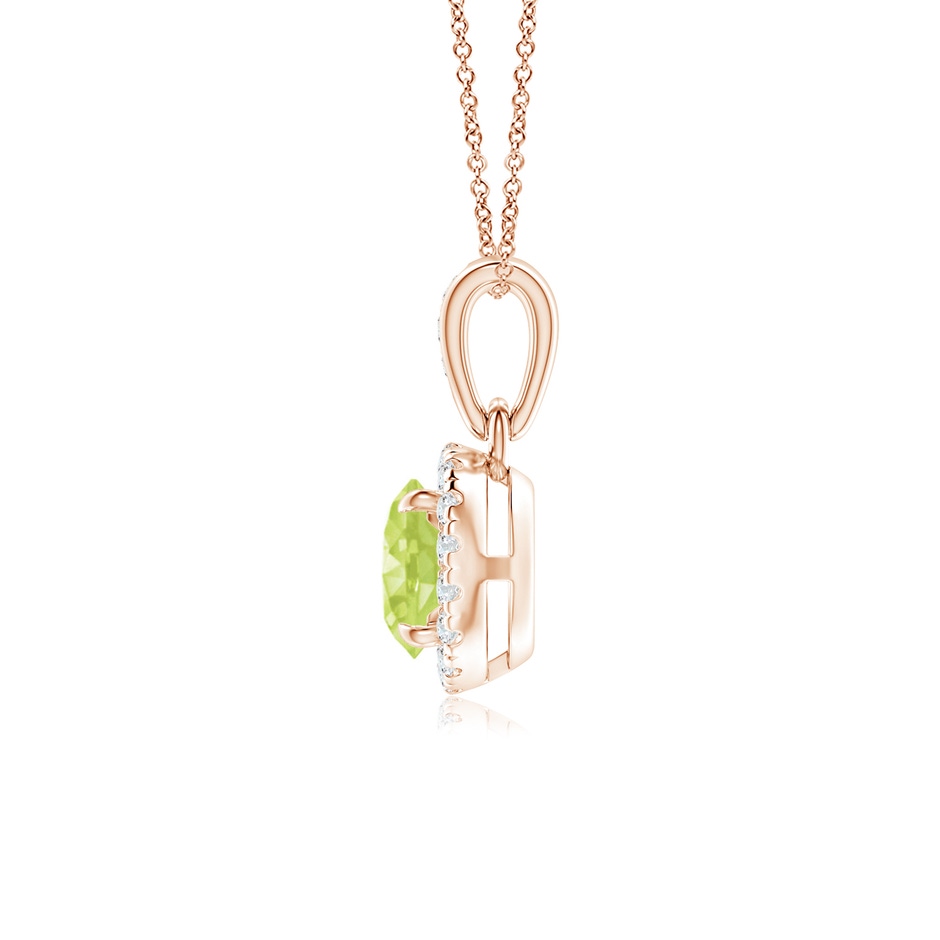 5mm A Claw-Set Round Peridot Pendant with Diamond Halo in 9K Rose Gold product image