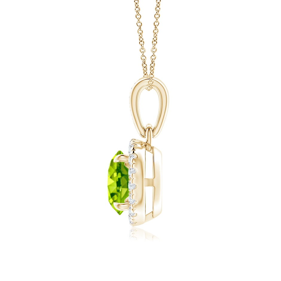 6mm AAA Claw-Set Round Peridot Pendant with Diamond Halo in Yellow Gold side-1