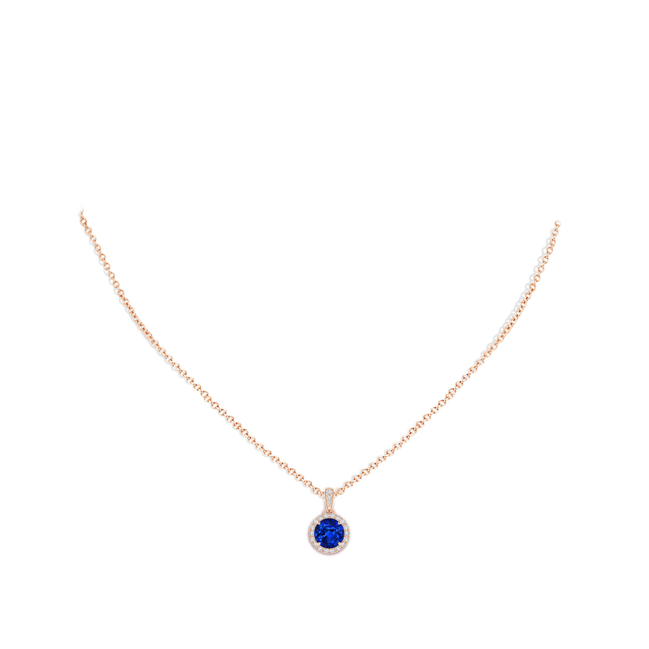 7mm Lab-Grown Claw-Set Round Sapphire Pendant with Diamond Halo in Rose Gold body-neck