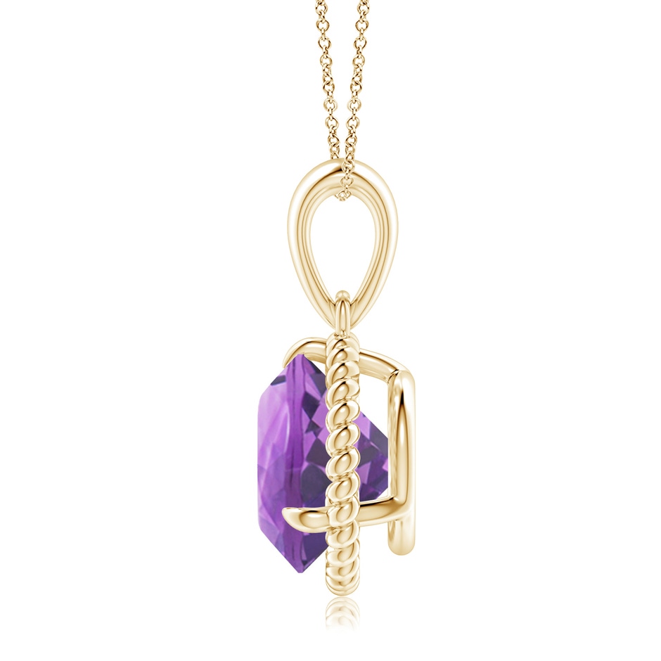 10mm A Rope-Framed Claw-Set Amethyst Solitaire Pendant in Yellow Gold side 199