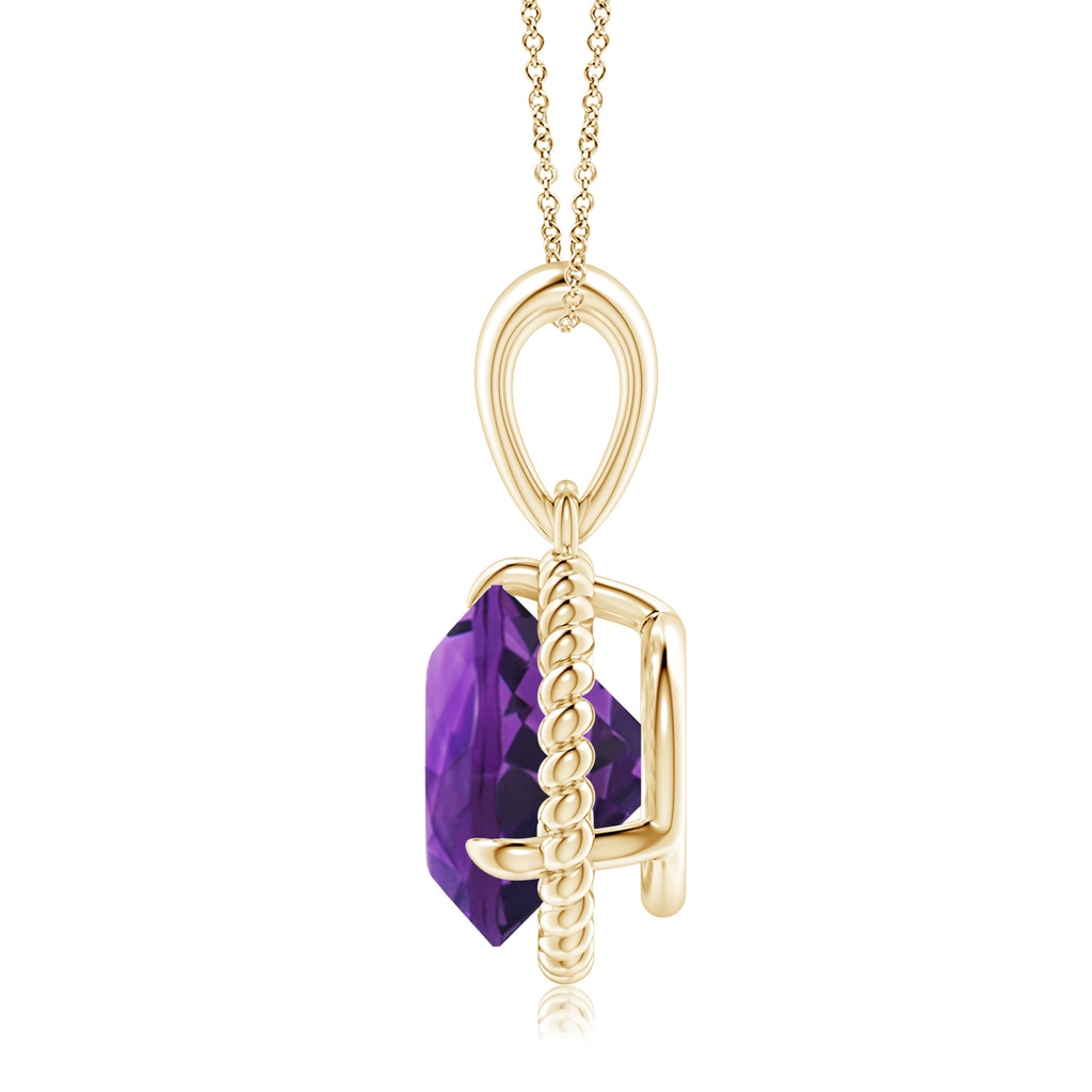 10mm AAAA Rope-Framed Claw-Set Amethyst Solitaire Pendant in Yellow Gold Side 199