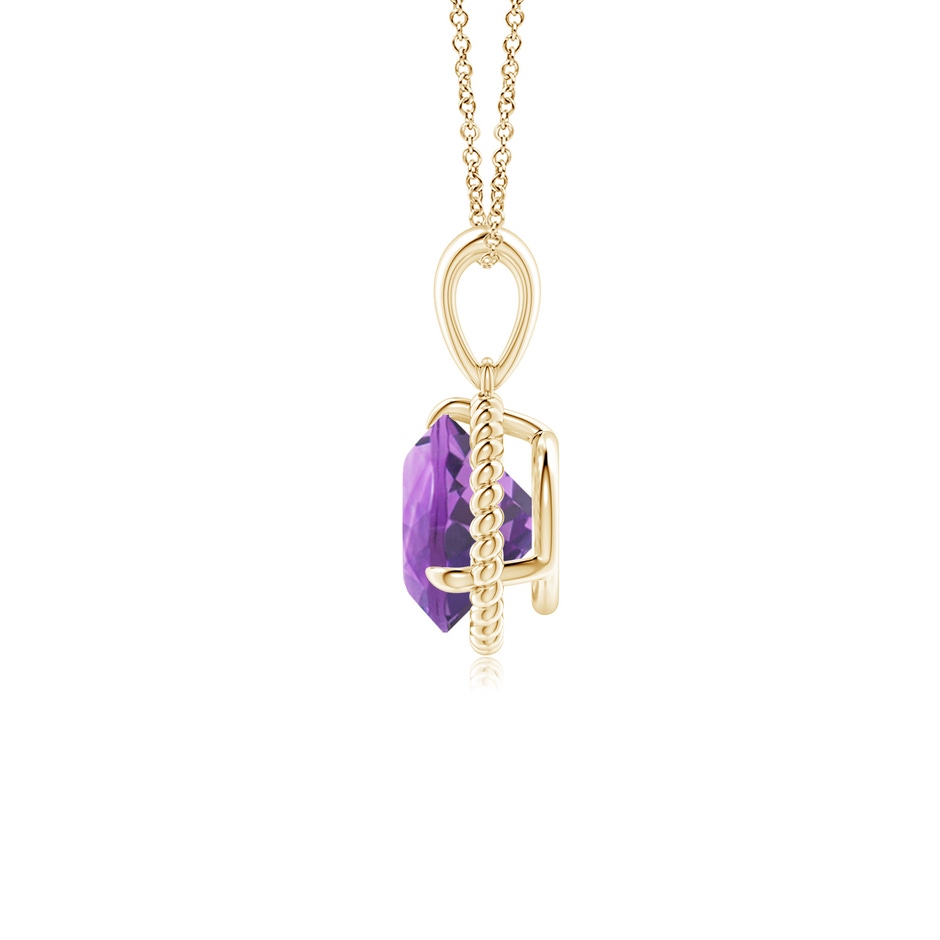 7mm A Rope-Framed Claw-Set Amethyst Solitaire Pendant in Yellow Gold side 199