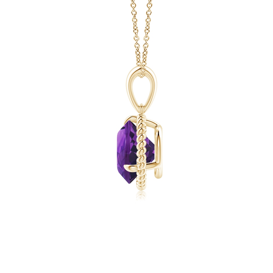 7mm AAAA Rope-Framed Claw-Set Amethyst Solitaire Pendant in Yellow Gold side 199