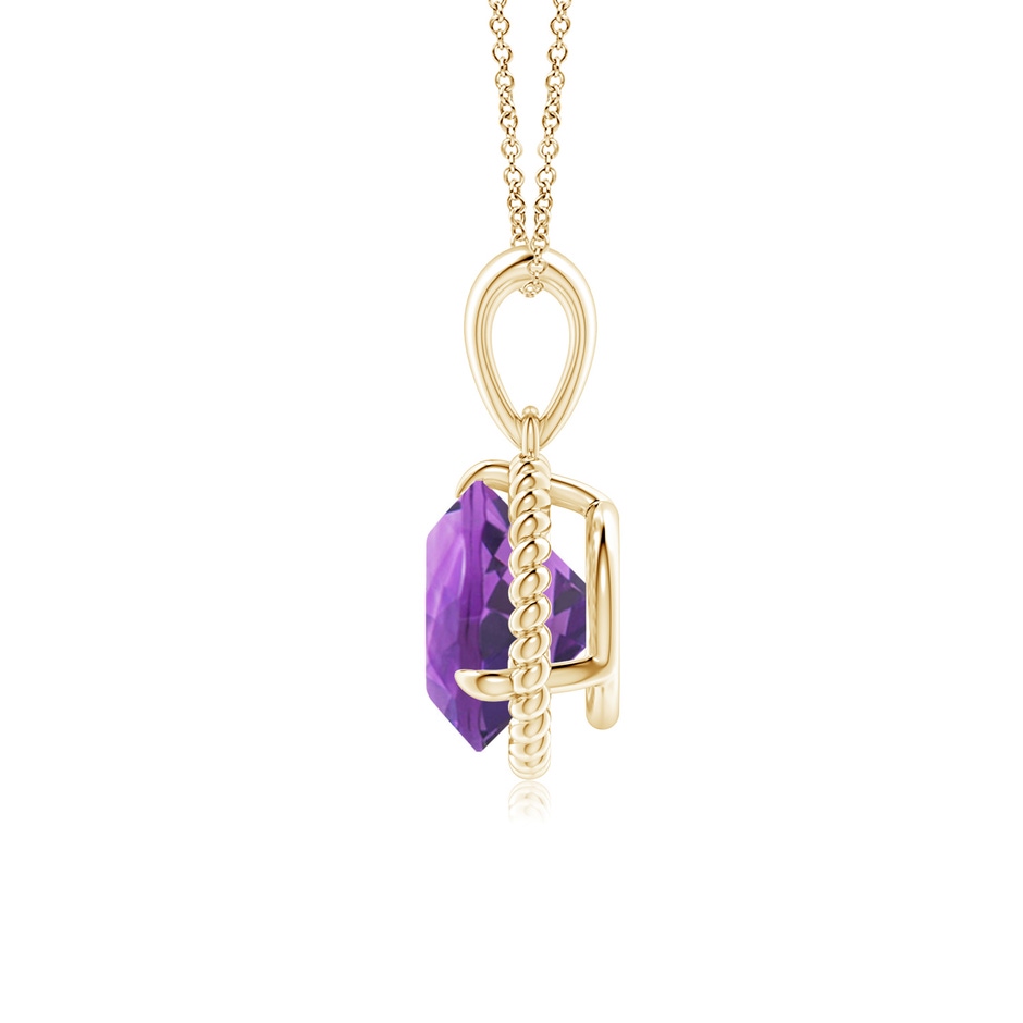 8mm AA Rope-Framed Claw-Set Amethyst Solitaire Pendant in Yellow Gold side 199