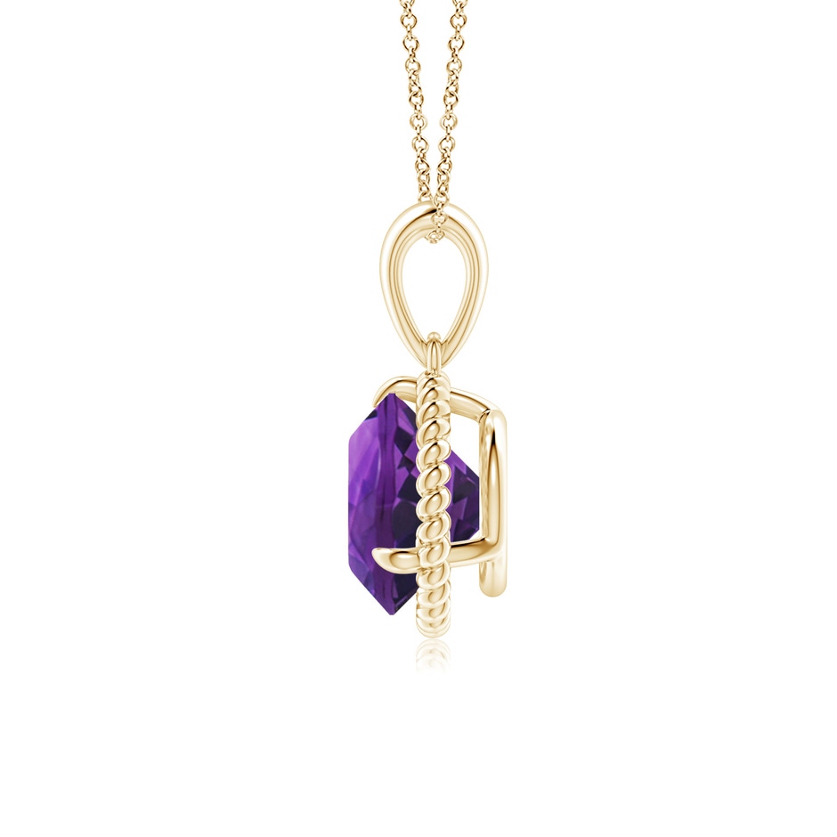 8mm AAAA Rope-Framed Claw-Set Amethyst Solitaire Pendant in Yellow Gold side 199