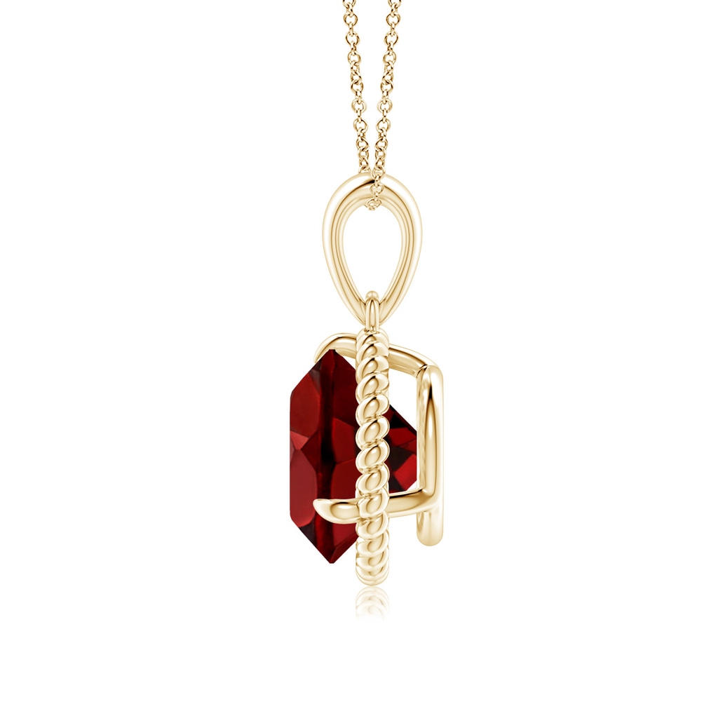 9mm AAAA Rope-Framed Claw-Set Garnet Solitaire Pendant in Yellow Gold Side 199