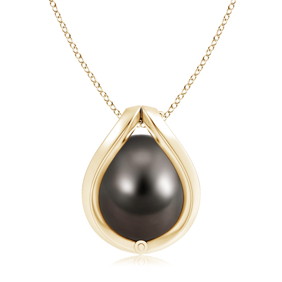 10mm AAA Tahitian Pearl Cage Pendant in Yellow Gold product image