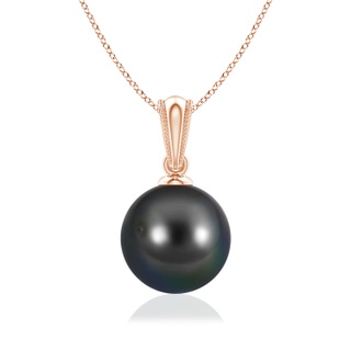 Round AA Tahitian Cultured Pearl