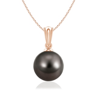 8mm AAA Tahitian Pearl Pendant with Ornate Bale in Rose Gold