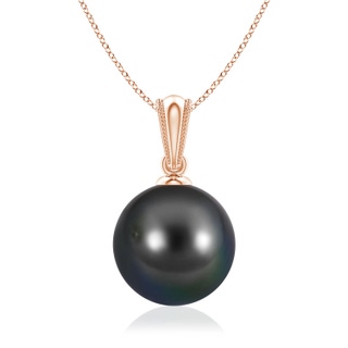 Round AA Tahitian Cultured Pearl