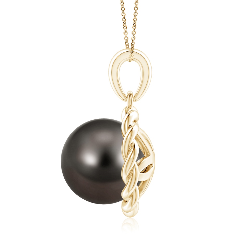 9mm AAA Rope-Framed Tahitian Pearl Pendant in Yellow Gold side 1