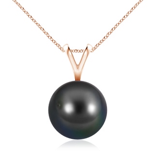 Round AA Tahitian Cultured Pearl