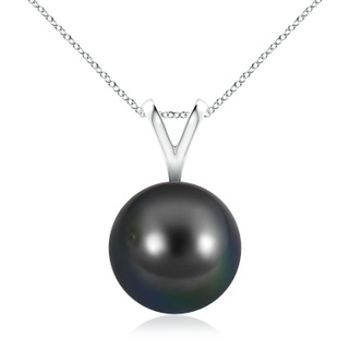 Round AA Tahitian Cultured Pearl