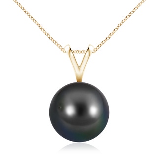 Round AA Tahitian Cultured Pearl