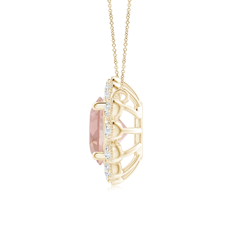 6mm AAA Morganite Pendant with Bezel-Set Diamond Halo in Yellow Gold side 1
