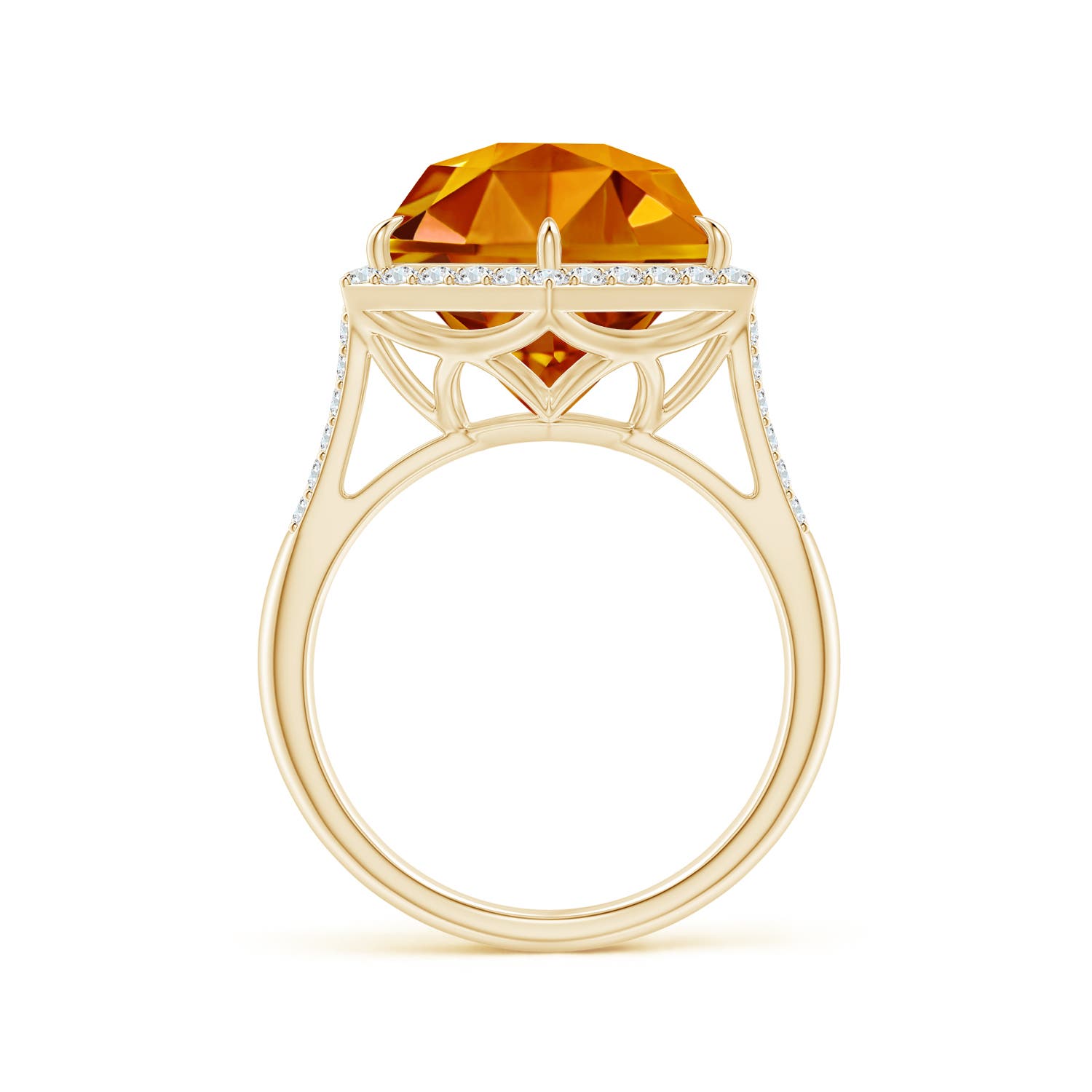 AAAA - Citrine / 10.6 CT / 14 KT Yellow Gold