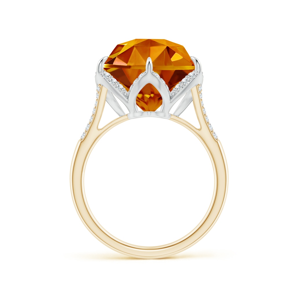 12mm AAAA Hexagonal Fancy-Cut Citrine Tulip Engagement Ring in Yellow Gold White Gold Side 1