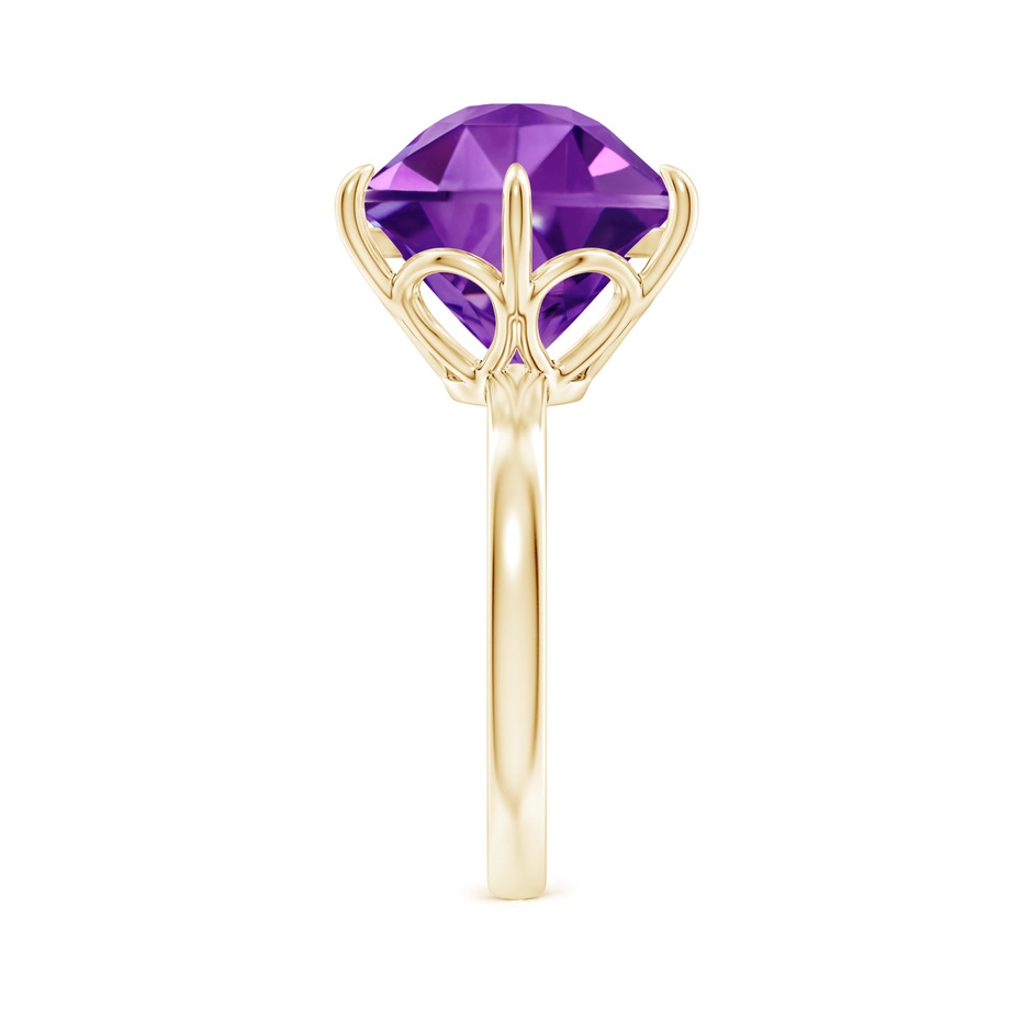 12mm AAAA Hexagonal Fancy-Cut Amethyst Solitaire Ring in Yellow Gold side 2