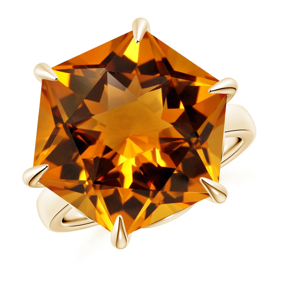 17.21x15.05x10.49mm AAAA FC_SR2804CT_H-YGE-AAAA-17.21x15.05x10.49 in 18K Yellow Gold 