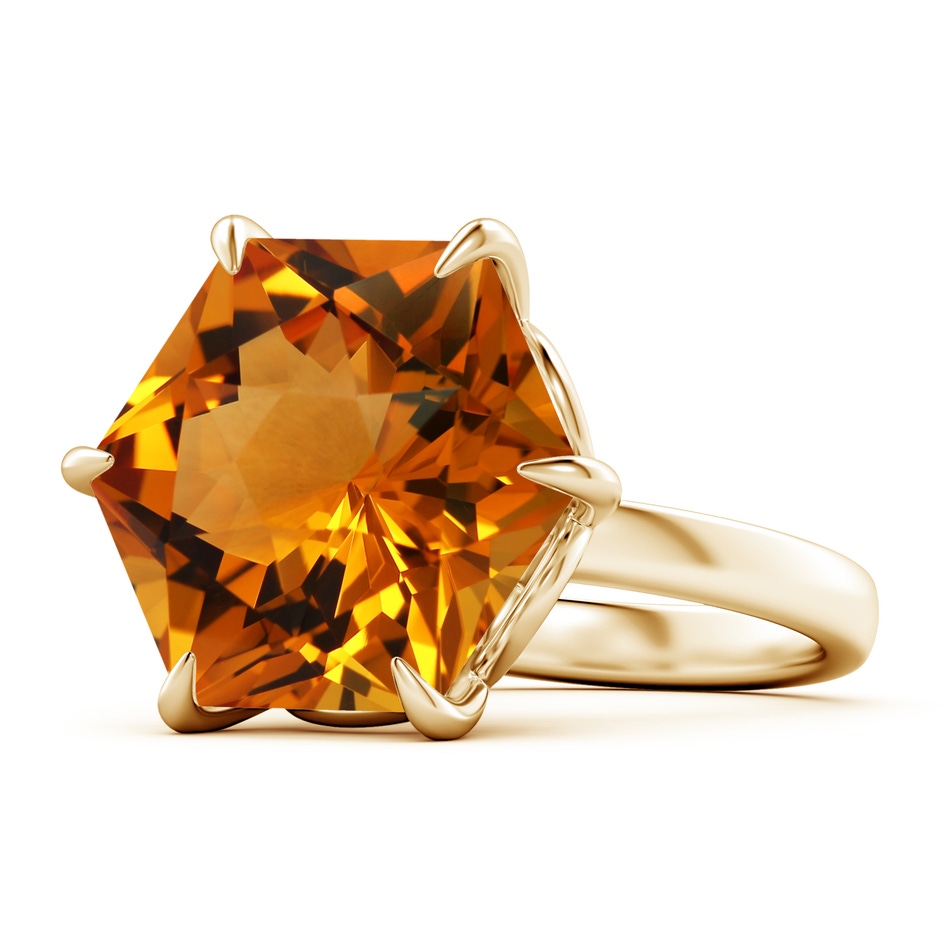 17.21x15.05x10.49mm AAAA FC_SR2804CT_H-YGE-AAAA-17.21x15.05x10.49 in 18K Yellow Gold side 199