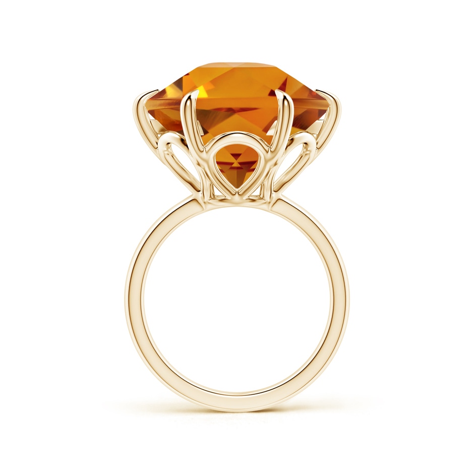 17.21x15.05x10.49mm AAAA FC_SR2804CT_H-YGE-AAAA-17.21x15.05x10.49 in 18K Yellow Gold side 399