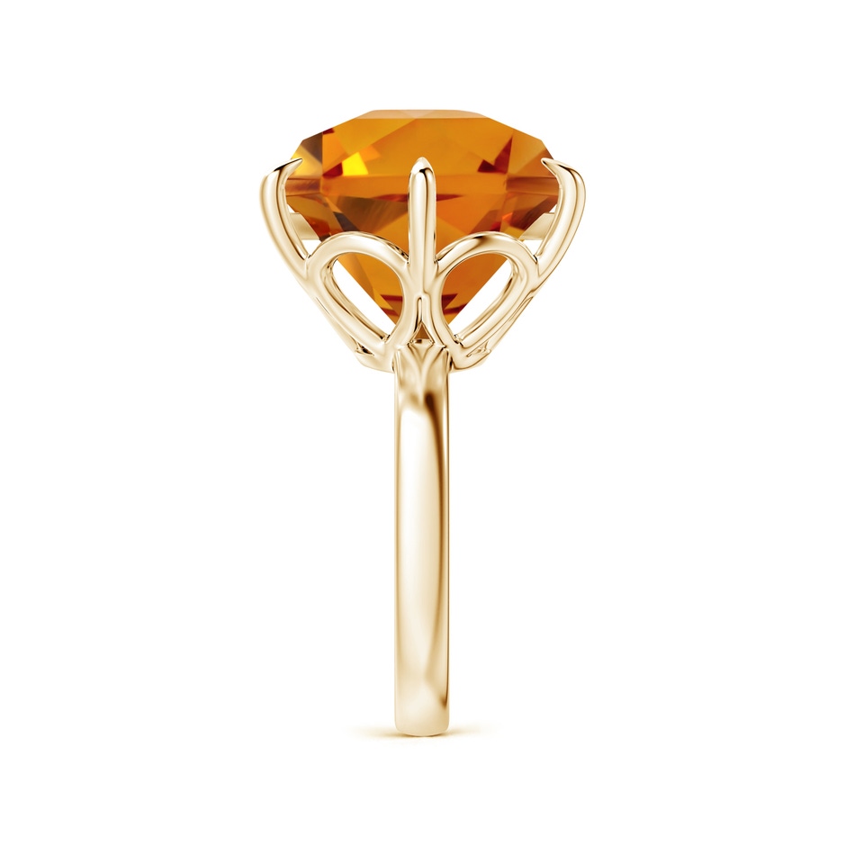 17.21x15.05x10.49mm AAAA FC_SR2804CT_H-YGE-AAAA-17.21x15.05x10.49 in 18K Yellow Gold side 499