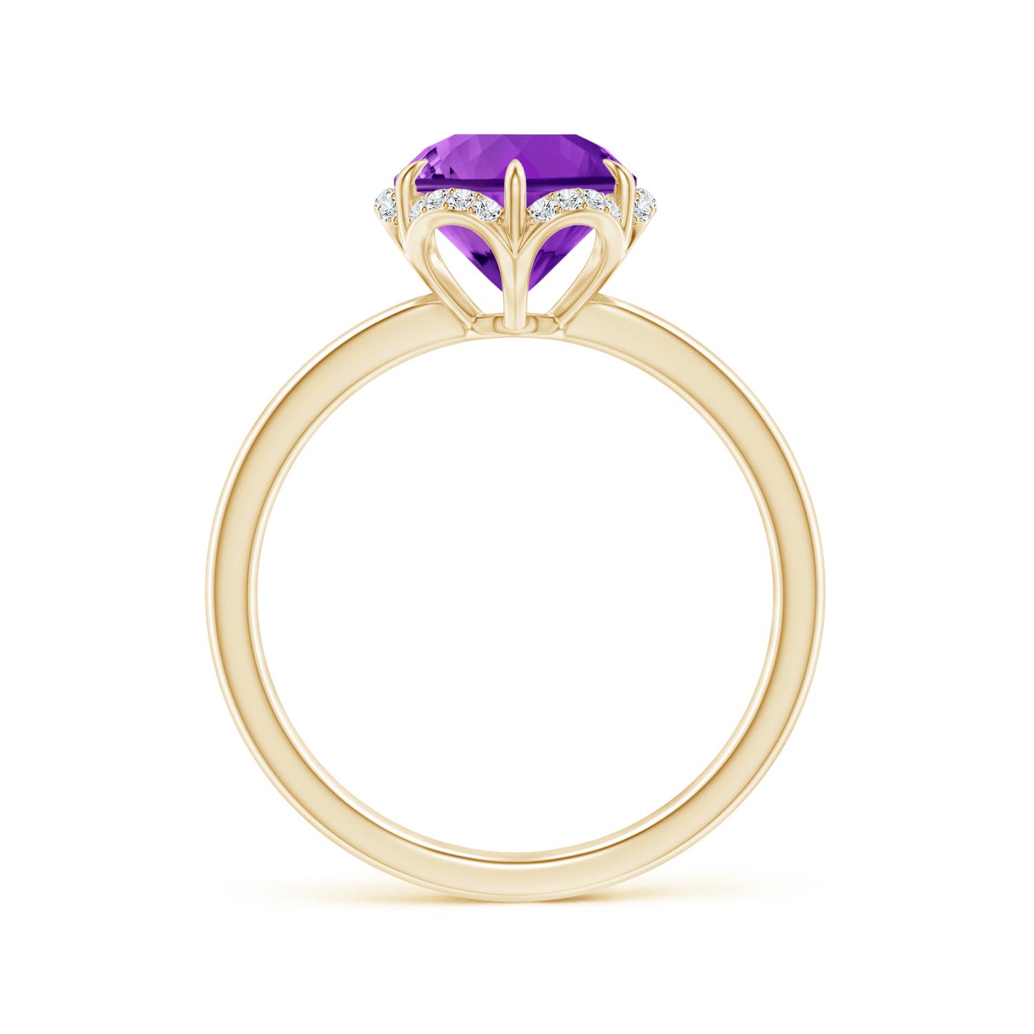 AAAA - Amethyst / 1.87 CT / 14 KT Yellow Gold