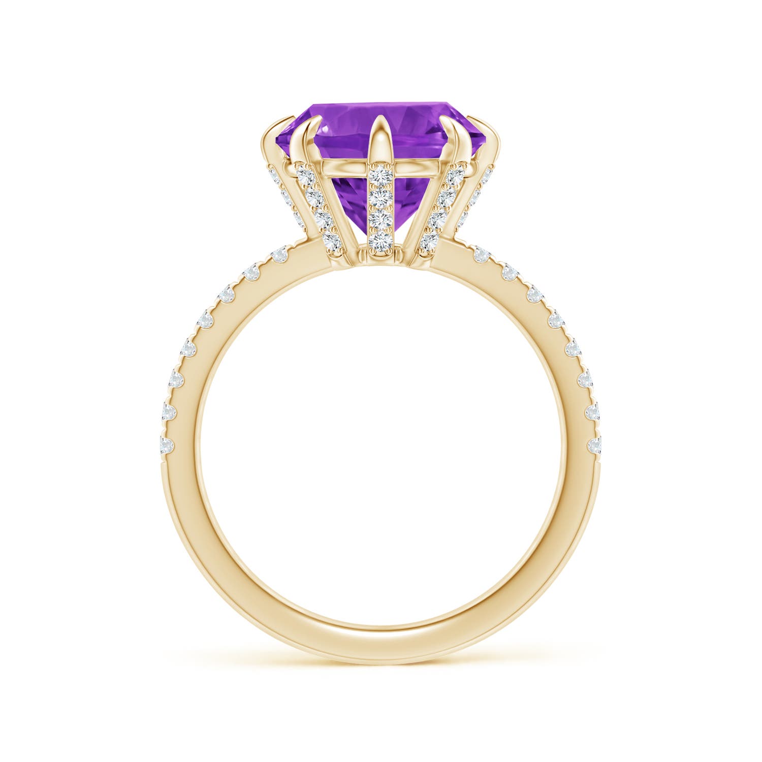 AAAA - Amethyst / 3.4 CT / 14 KT Yellow Gold