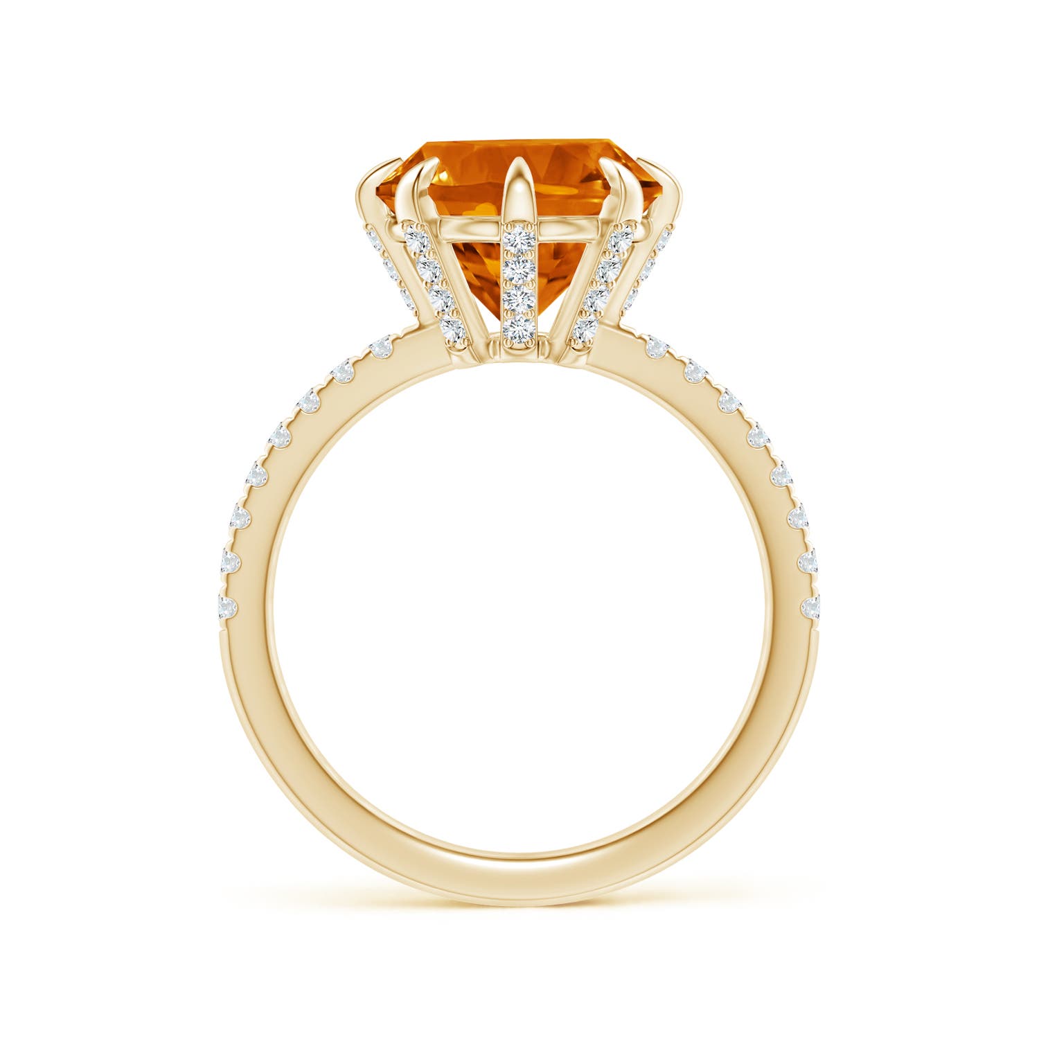 AAAA - Citrine / 3.4 CT / 14 KT Yellow Gold