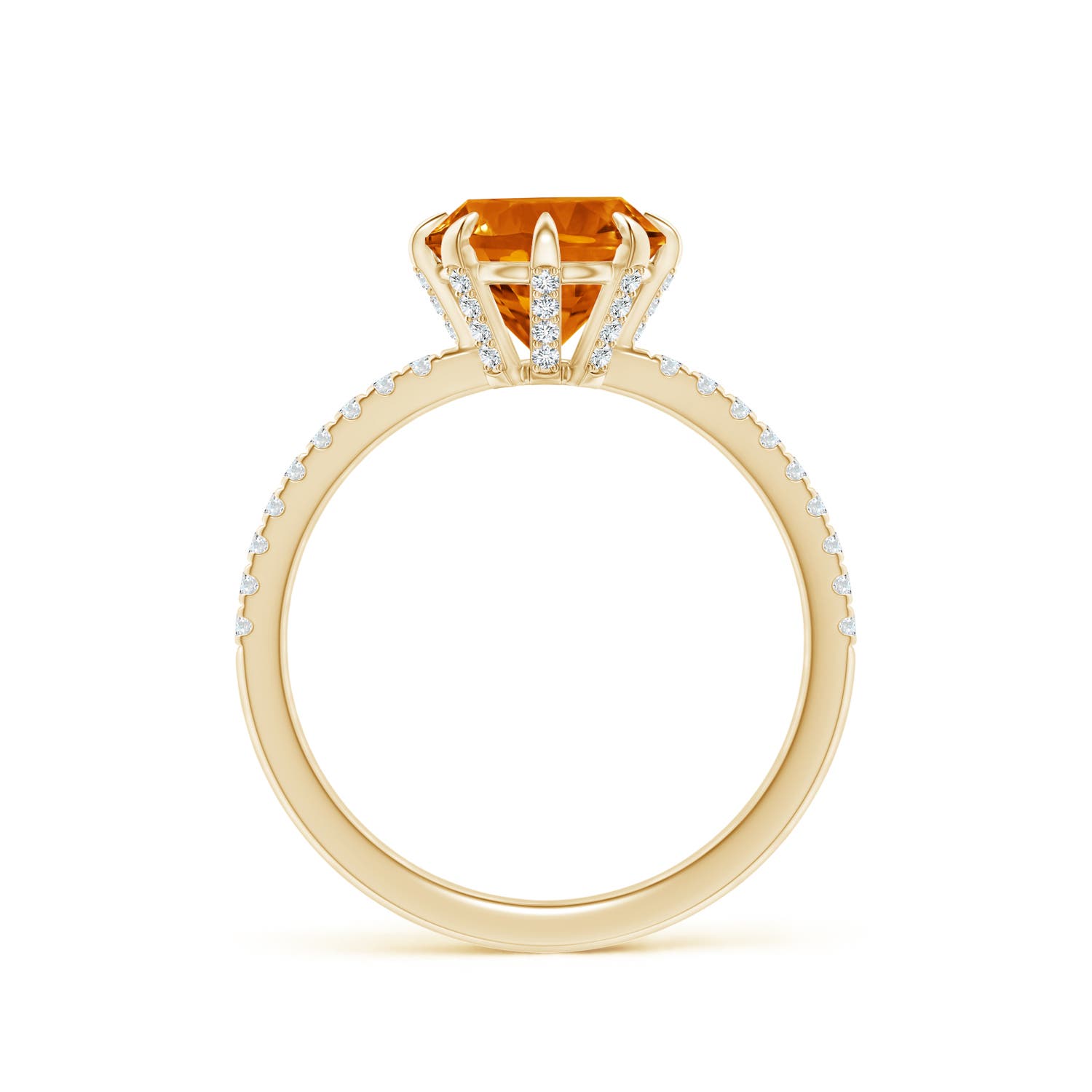 AAAA - Citrine / 2.07 CT / 14 KT Yellow Gold