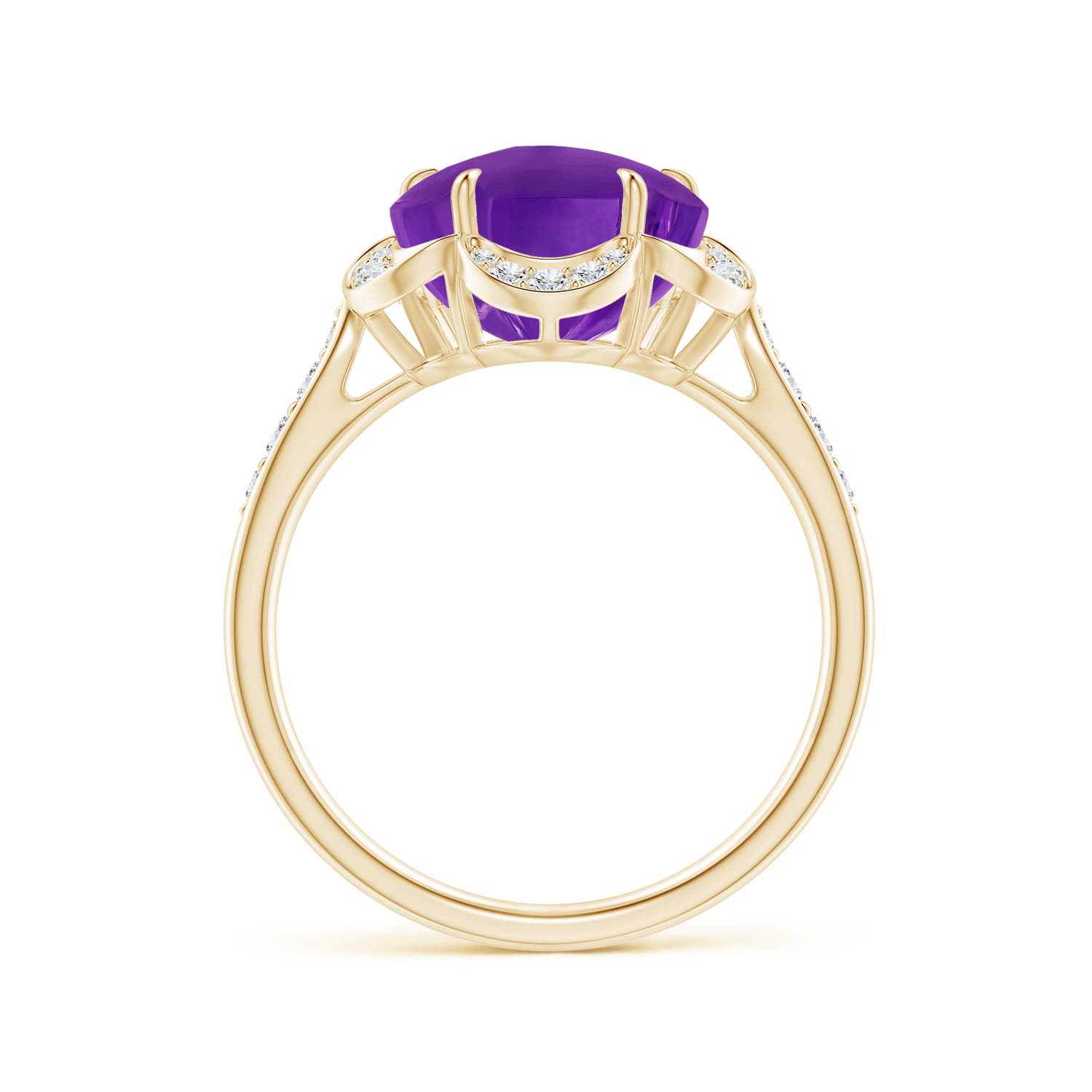 AAAA - Amethyst / 4.69 CT / 14 KT Yellow Gold