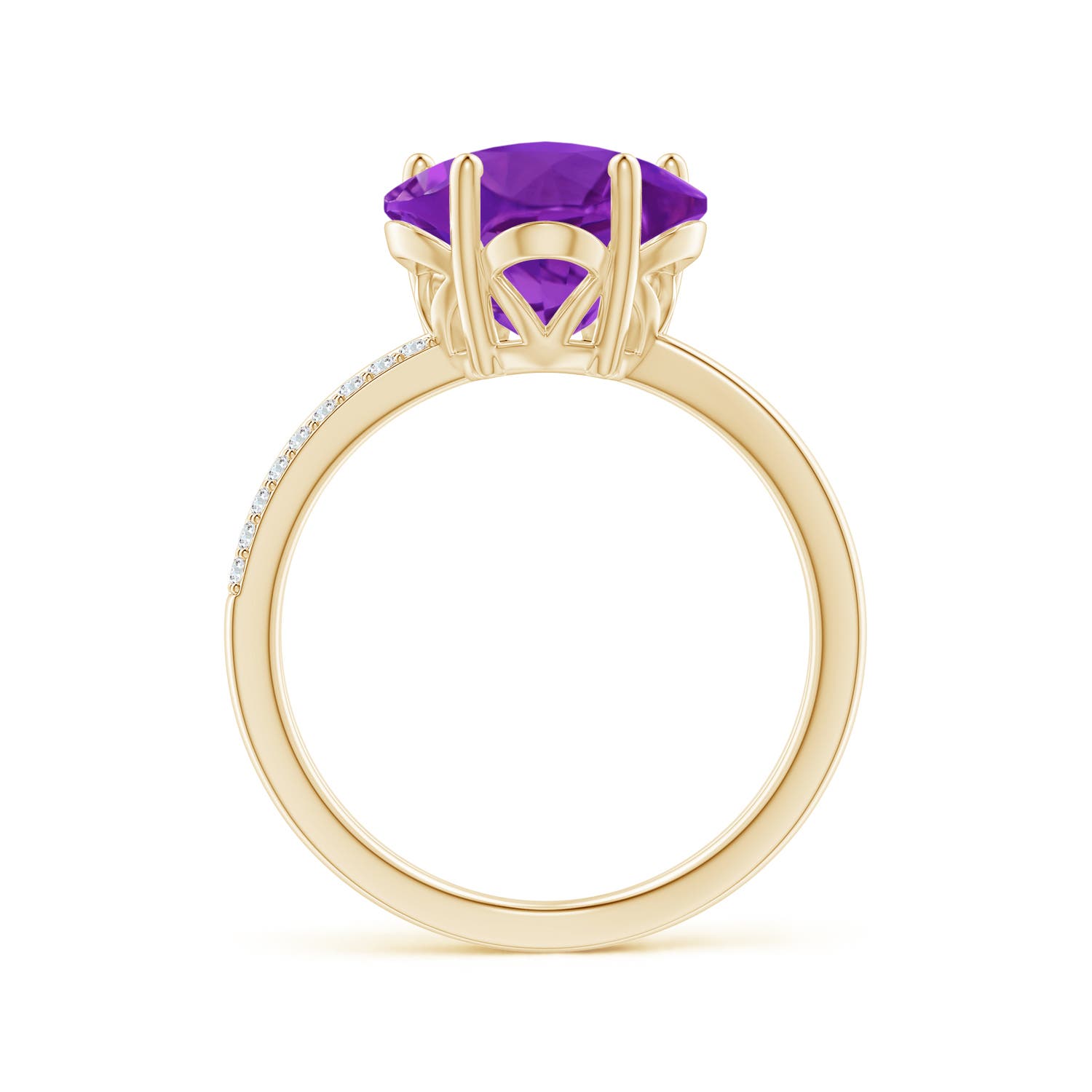 AAAA - Amethyst / 3.19 CT / 14 KT Yellow Gold