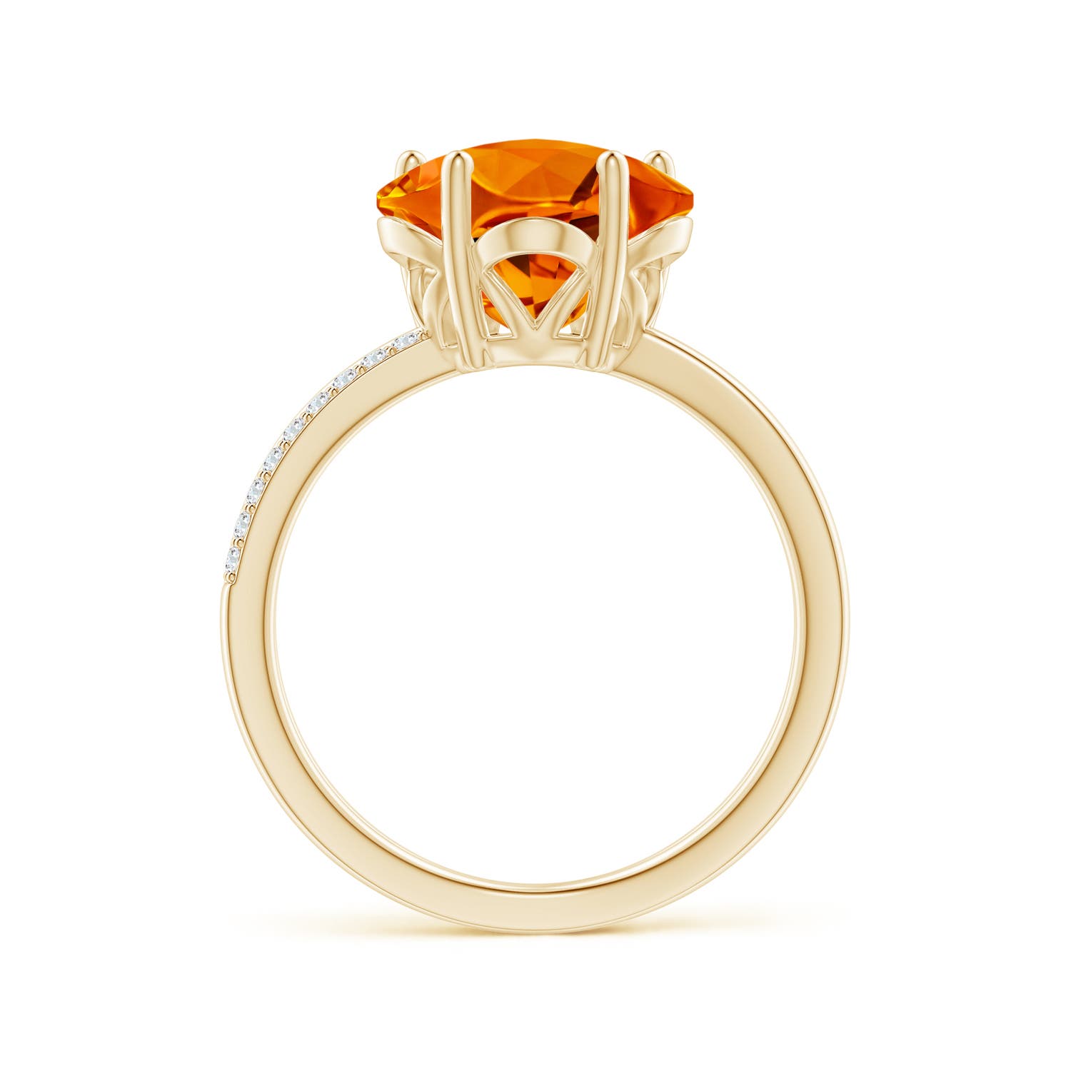 AAAA - Citrine / 3.19 CT / 14 KT Yellow Gold