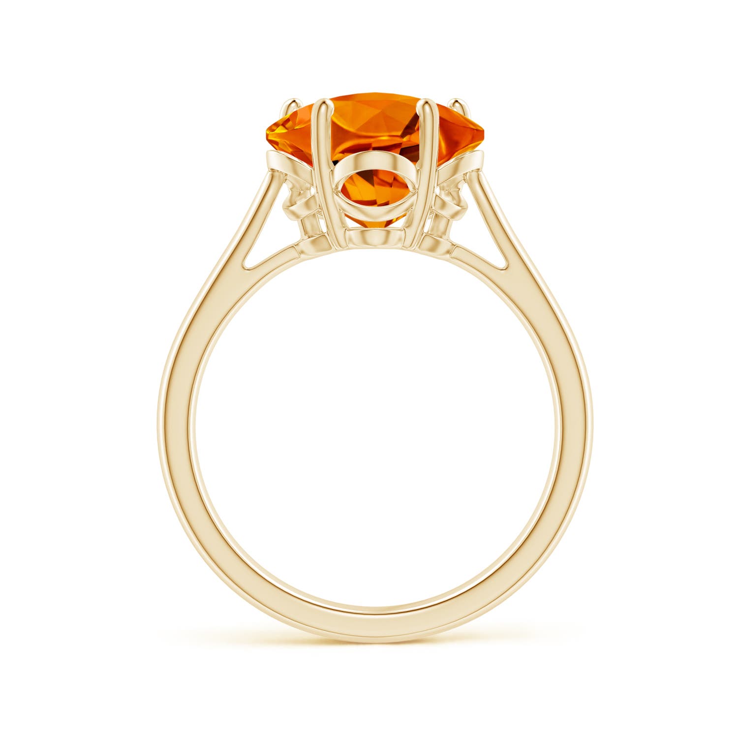 AAAA - Citrine / 3.1 CT / 14 KT Yellow Gold